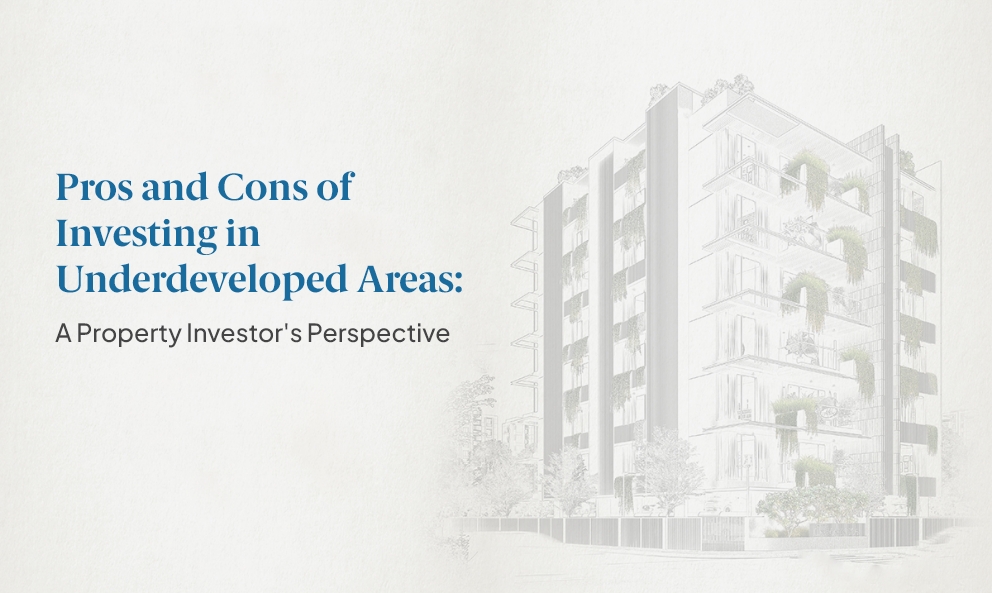 Pros And Cons Of Investing In Underdeveloped Areas